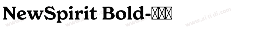 NewSpirit Bold字体转换